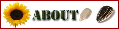 About